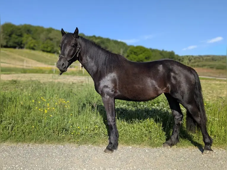race-merens-cheval