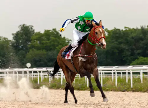 combien-gagne-jockey-salaire-moyen