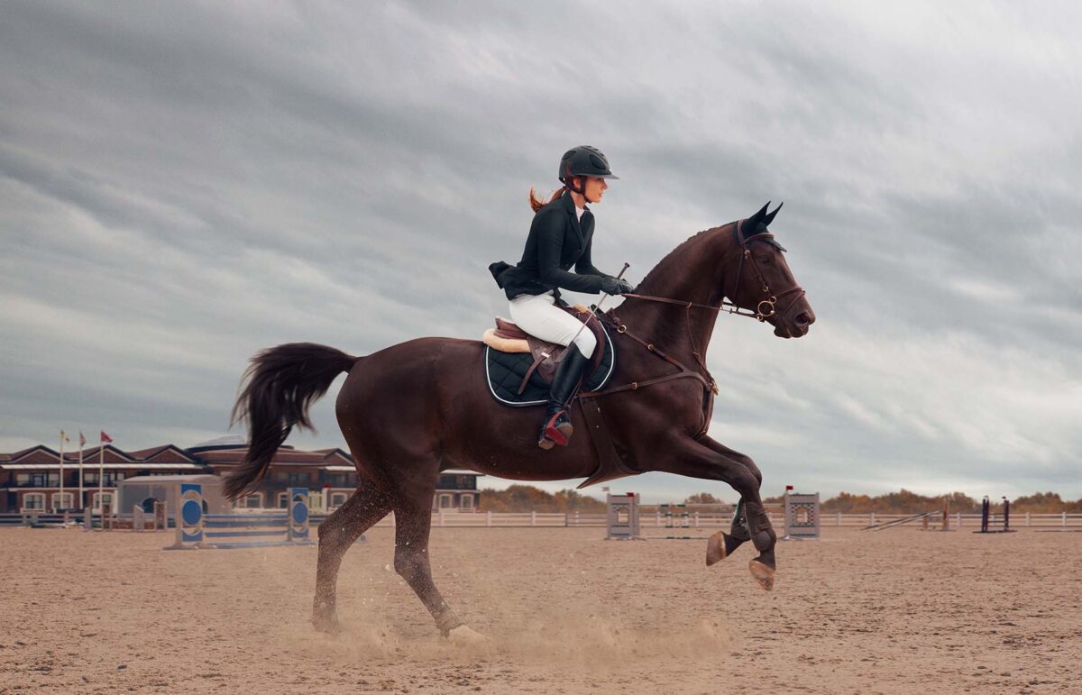 concours-de-saut-dobstacles-cso