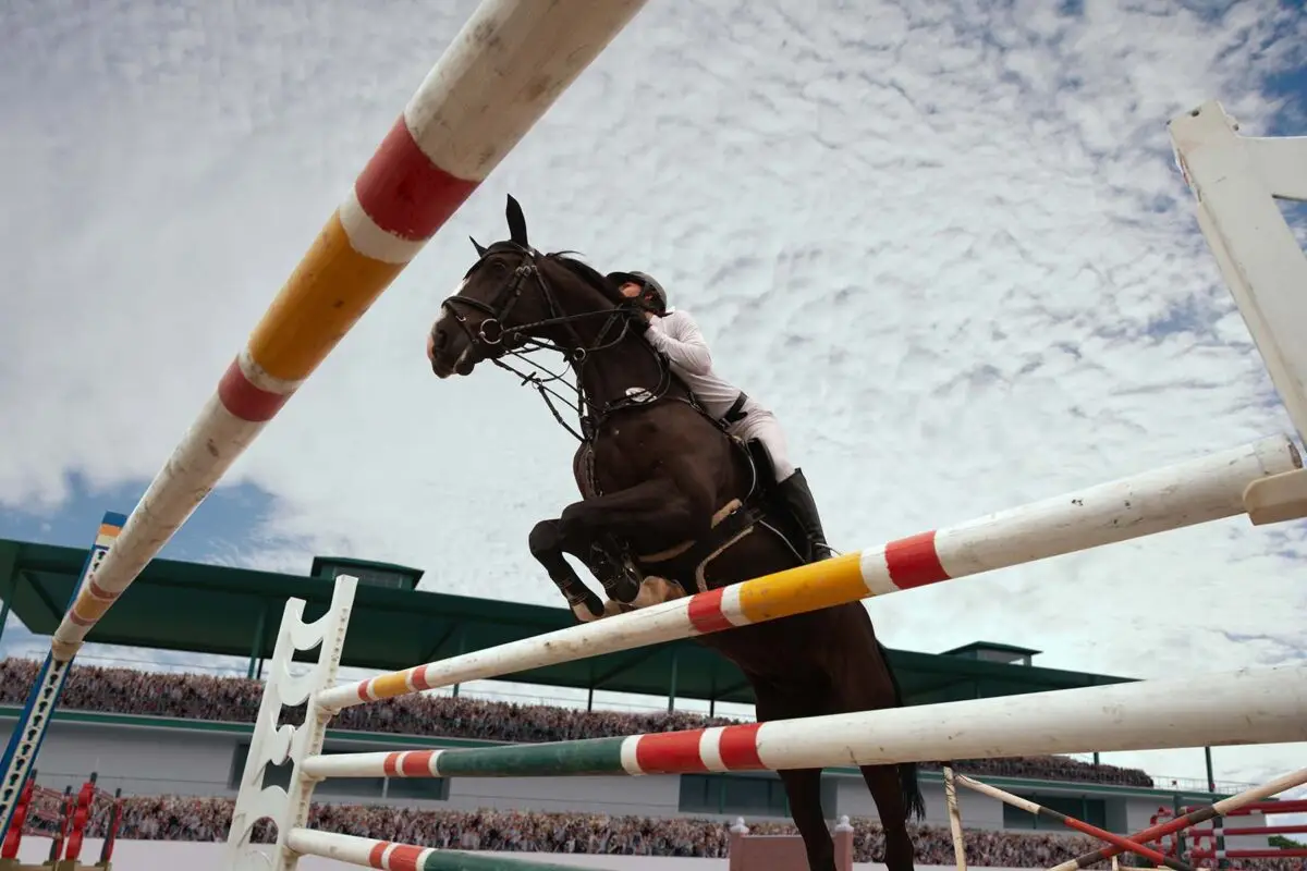 concours-de-saut-dobstacles-cso