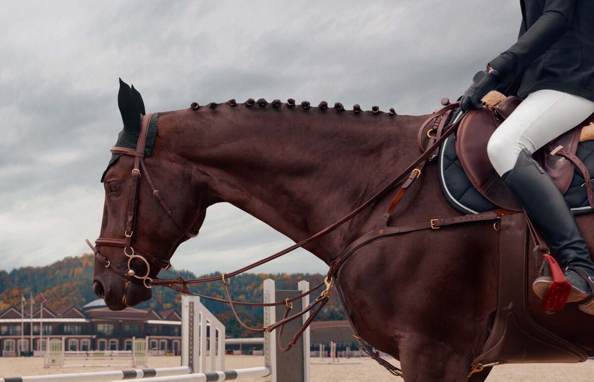 concours-de-saut-dobstacles-cso