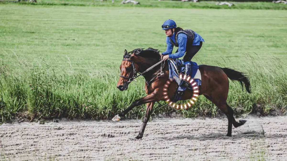 poids-taille-jockey-femme-homme