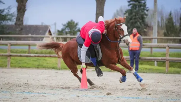 pony-games