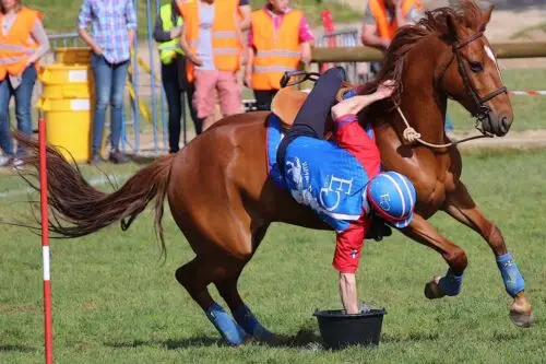pony-games