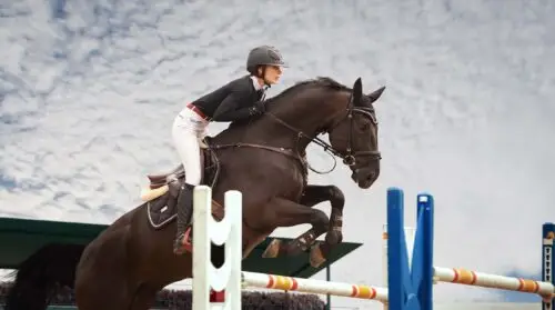 saut-dobstacles-cheval