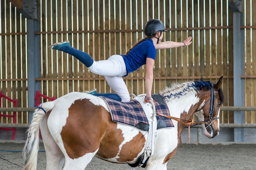 voltige-cheval-tout-savoir