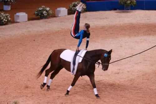 voltige-cheval-tout-savoir