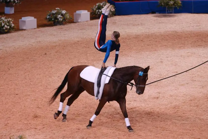 voltige-cheval-tout-savoir
