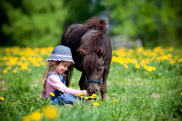 a-quel-age-faire-du-cheval-enfant