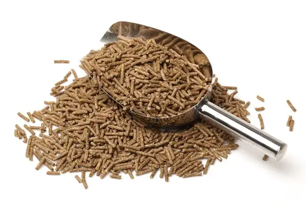 alimentation-cheval-au-pre-senior