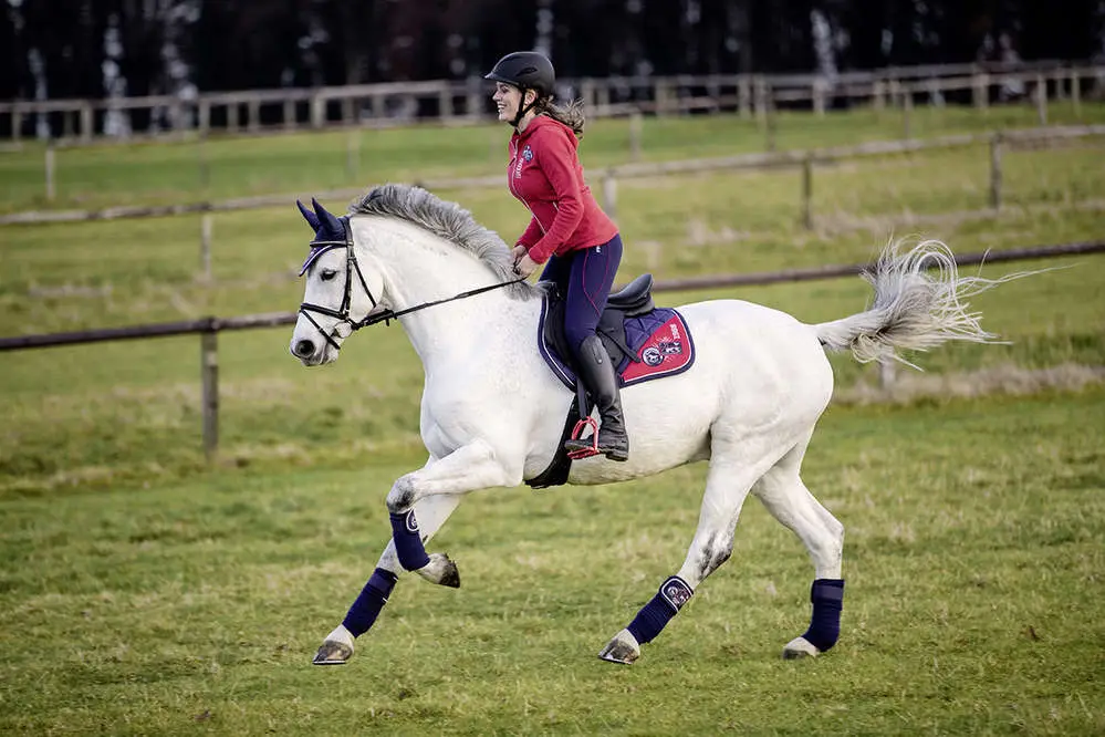 bonne-posture-a-cheval-exemple-exo