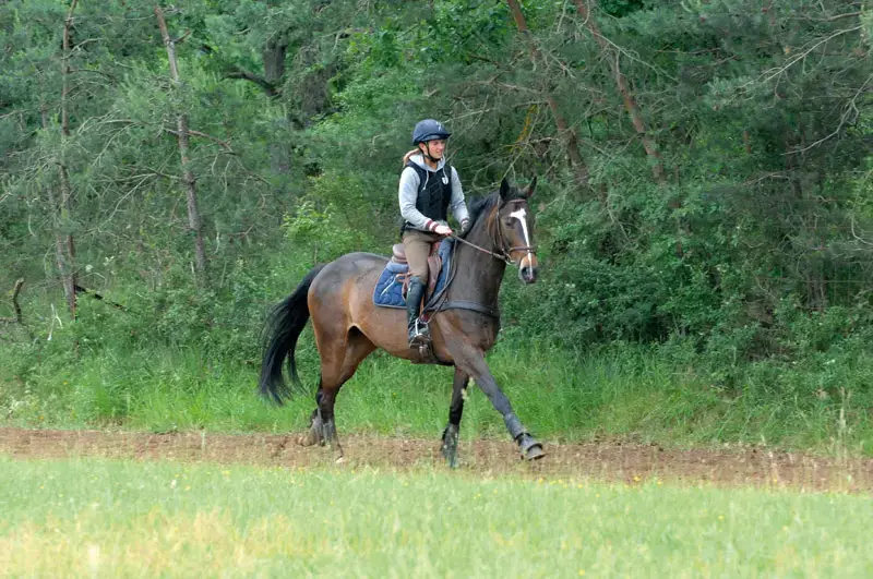 exercices-ameliorer-position-a-cheval