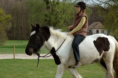 monter-a-cru-dos-cheval-equitation