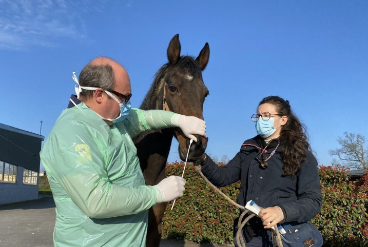 rhinopneumonie-cheval-vaccin