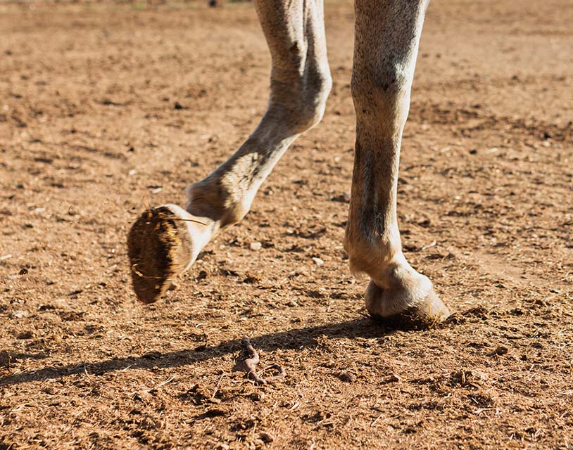 abces-pied-qui-ne-perce-pas