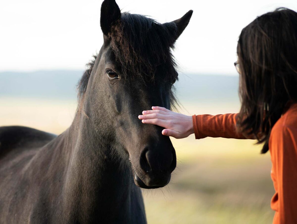 comment-faire-grossir-un-cheval-rapidement