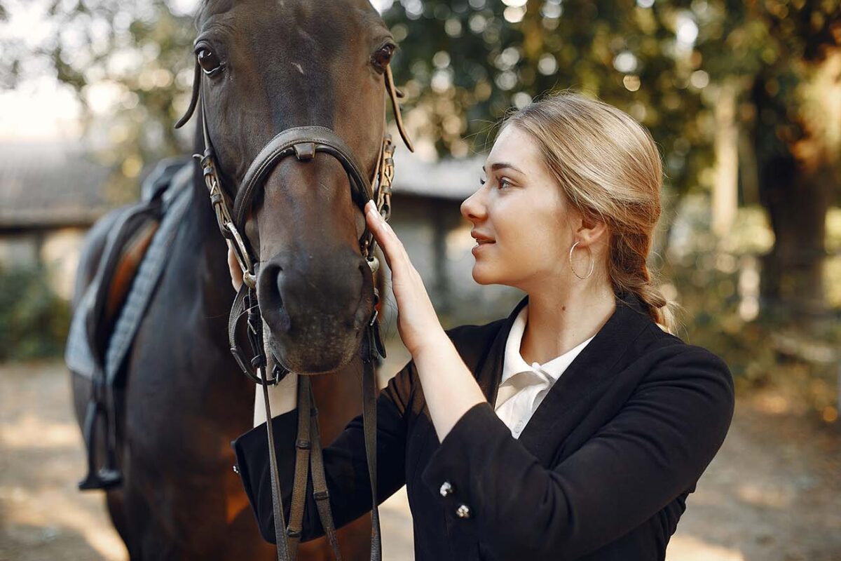 dressage-discipline-cheval