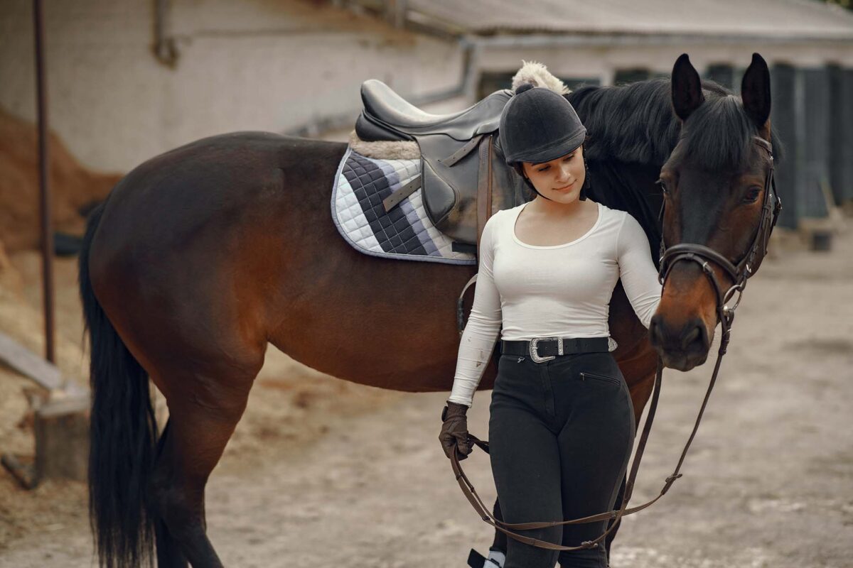 mors-jeune-cheval