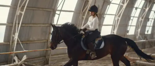 acheter-un-cheval-conseils