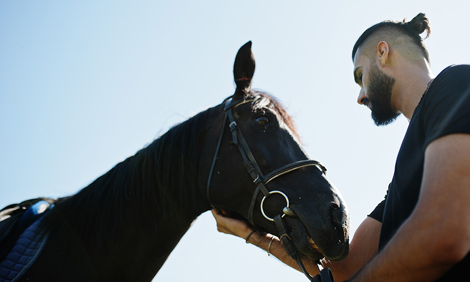 comment-acheter-un-cheval