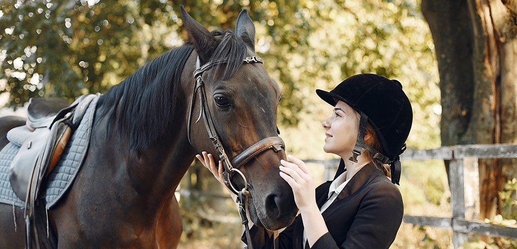 Galop 2 Programme Officiel Conseils Th orie Horserizon