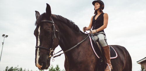 galop-3-programme-officiel