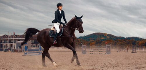 galop-5-programme-officiel