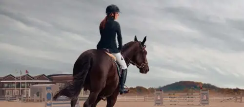 galop-7-programme-officiel