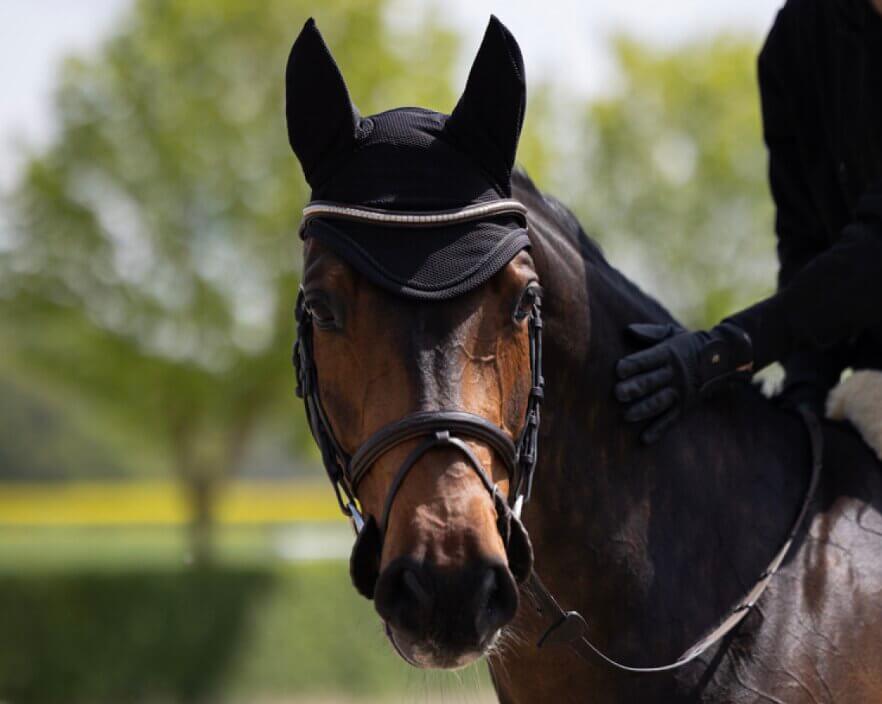 bonnet-cheval-eskadron-dynair-mesh