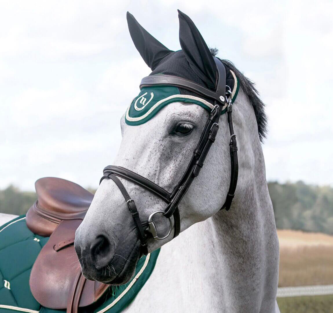 bonnet-cheval-nights-back-on-track