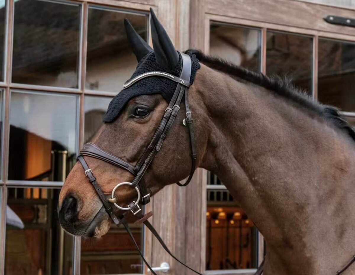 bonnet-cheval-wellington-kentucky-horsewear