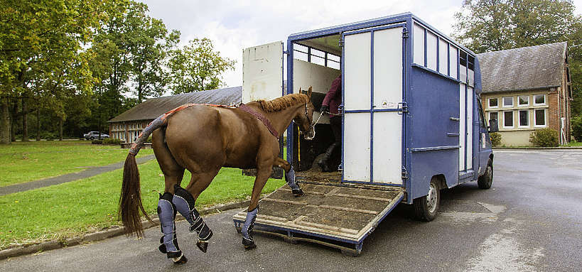 camion-chevaux-2-places-occasion
