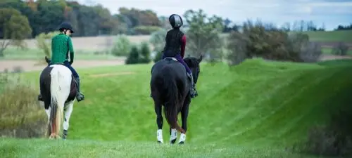 categorie-veteran-trec-championnat-france-2026