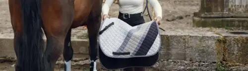 comment-choisir-tapis-de-selle