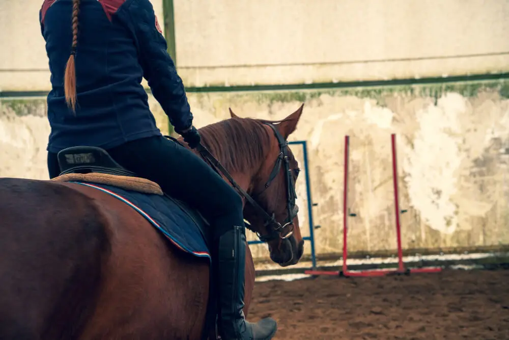 comment-choisir-tapis-equitation