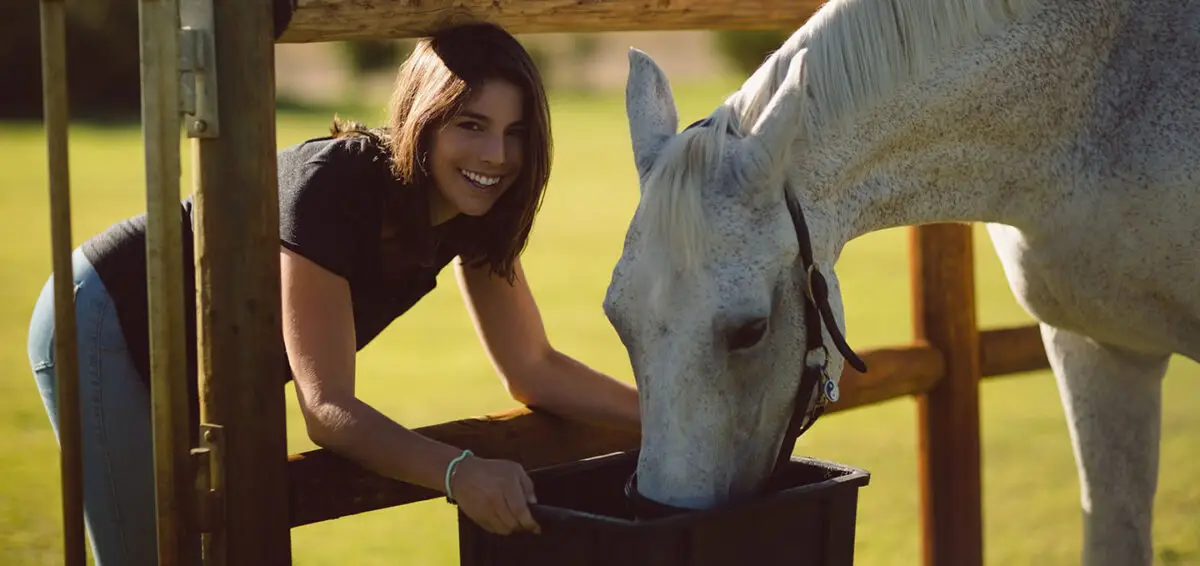 complement-alimentaire-cheval-comment-choisir