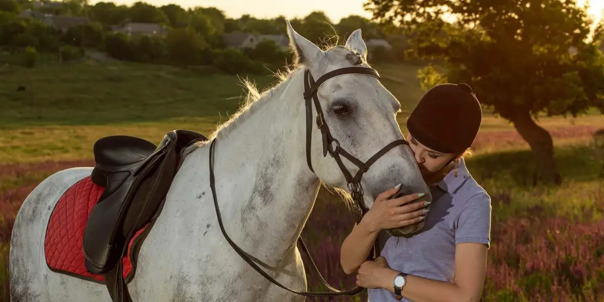 faire-du-cheval-conseils-astuces