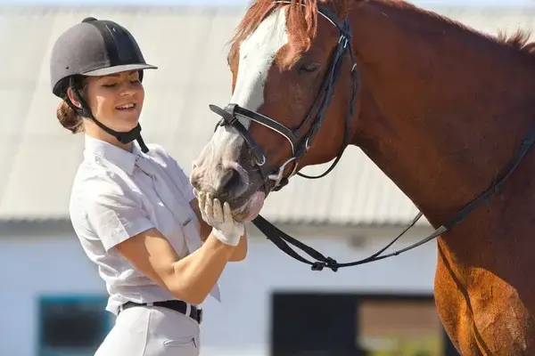 formation-moniteur-equitation-parcours-duree