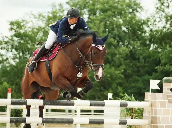 marques-bonnet-cheval-comparatif