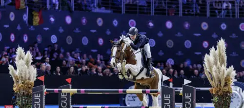 ping-pong-van-de-lentamel-cheval-pie-baie-grands-prix-cso
