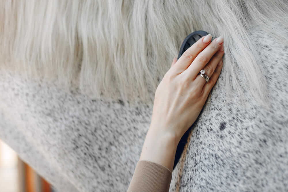 poux-cheval-symptomes-traitement-naturel-causes