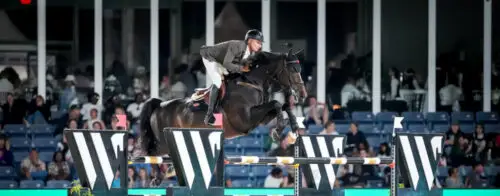 beat-mandli-qoachella-victoire-wellington