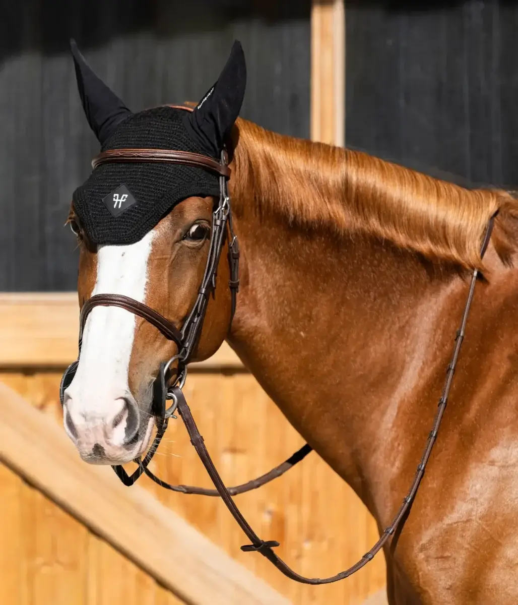 bonnet-cheval-fredy-harcour