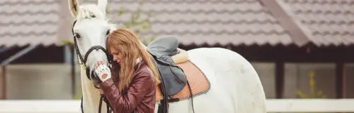 comment-choisir-amortisseur-cheval