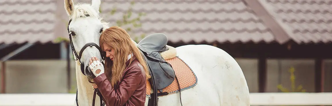 comment-choisir-amortisseur-cheval