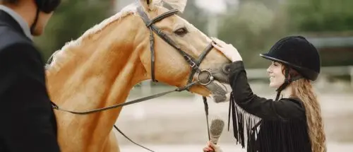 comment-choisir-filet-cheval