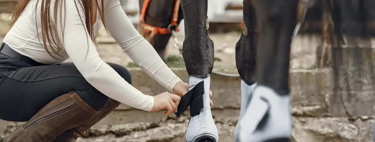 comment-choisir-guetre-cheval