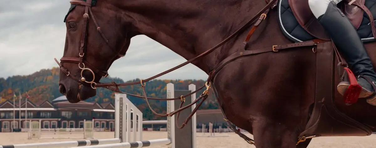 comment-choisir-martingale-cheval