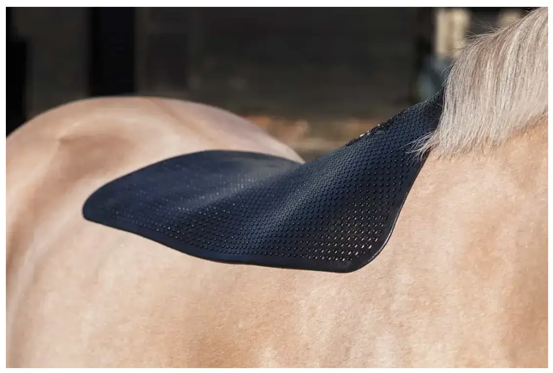 comment-equiper-dos-cheval