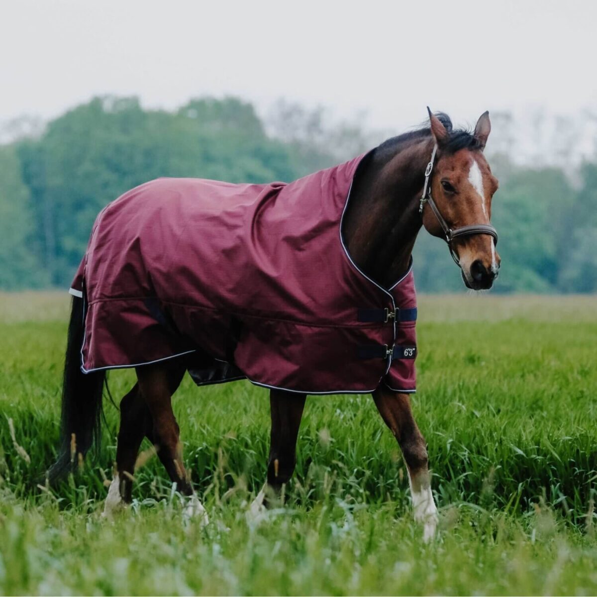 couverture-cheval-equitheme-tyrex-1200d